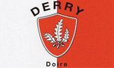 Derry County Ireland Crest Flag ~ 5 X 3 ft
