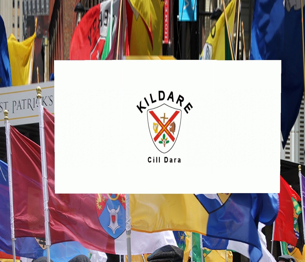 Kildare County Ireland Crest Flag ~ 5 X 3 ft
