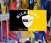 County Kilkenny Ireland Crest Flag ~ 5 X 3 ft